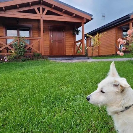 Chalet Pod Lasem Rokiciny Podhalanskie